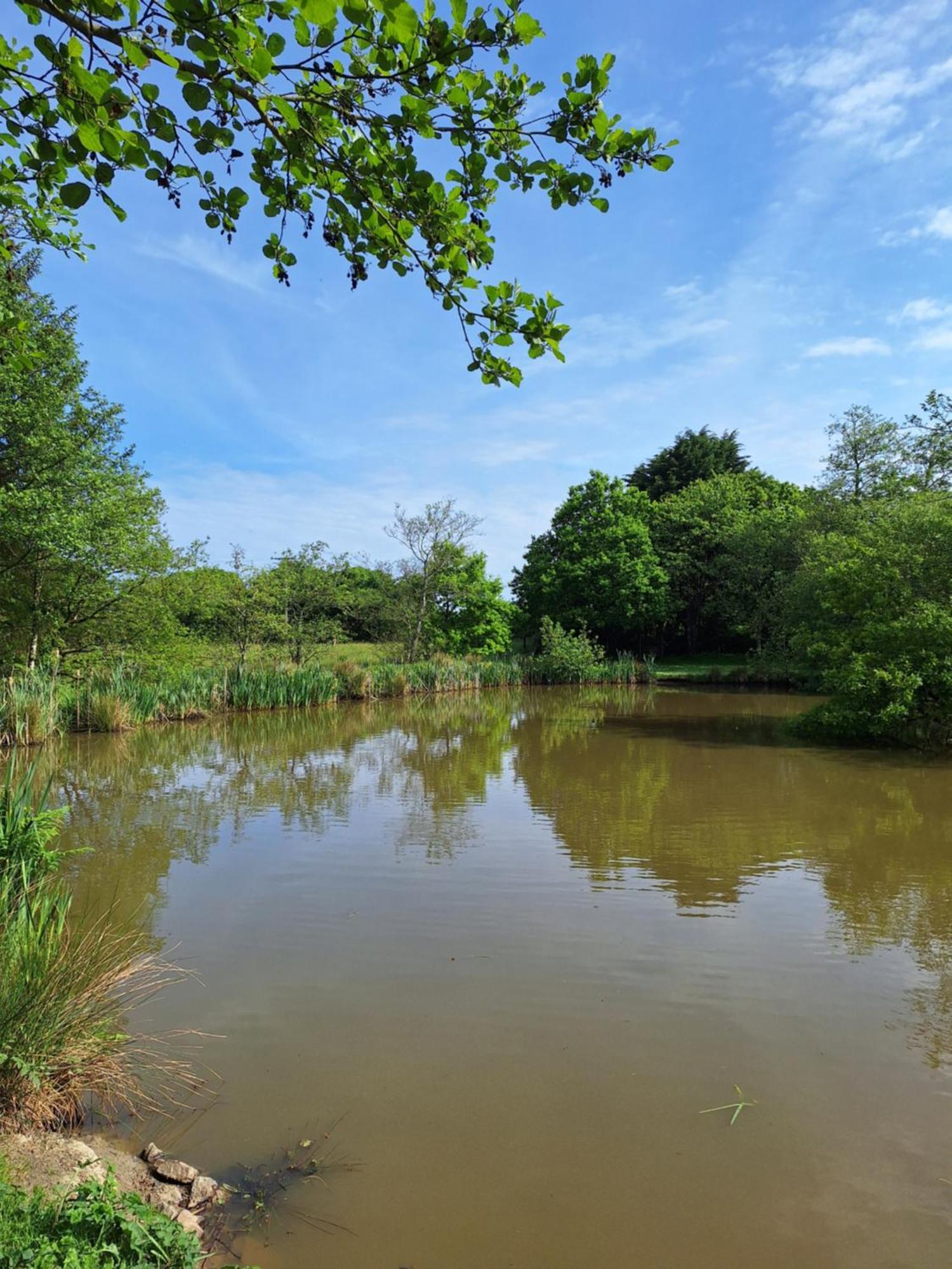 Hotel Thornbury Holiday Park Zewnętrze zdjęcie