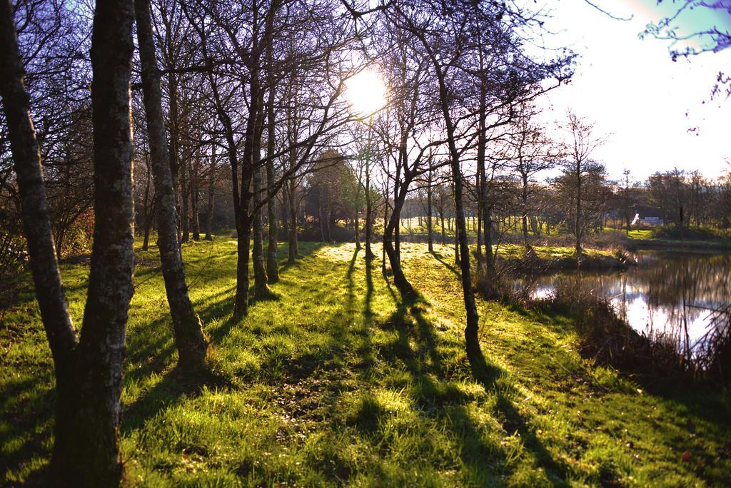 Hotel Thornbury Holiday Park Zewnętrze zdjęcie